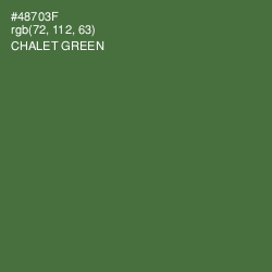 #48703F - Chalet Green Color Image
